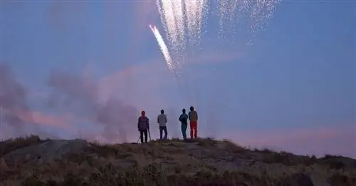 Фейерверки - семейный бизнес (и бизнес процветает)