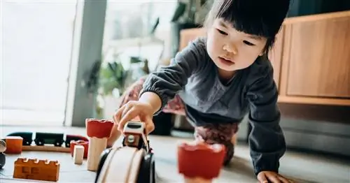 Наука о детской одержимости поездами