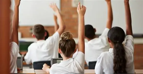 Нет такого понятия, как средний студент