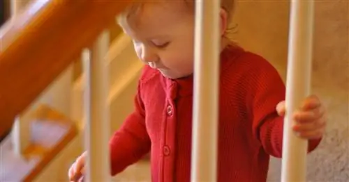 Как предотвратить падение малыша с лестницы
