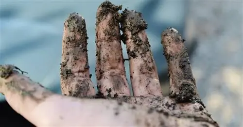 Почему ваш беременный партнер может хотеть есть грязь