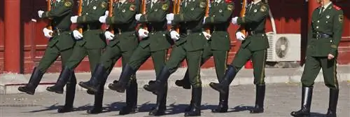 дисциплина