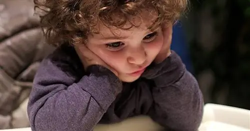 Как последовательно и эффективно дисциплинировать малыша