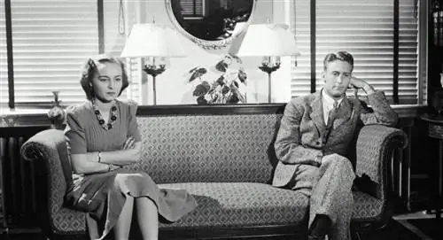 пара спорит