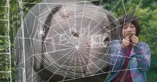 Okja - это суровая перезагрузка «Паутины Шарлотты»