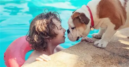 Почему дети предпочитают семейных собак семье