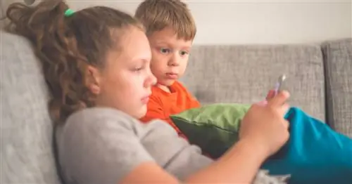 Ученые пришли к единому мнению о точной природе лени вашего ребенка