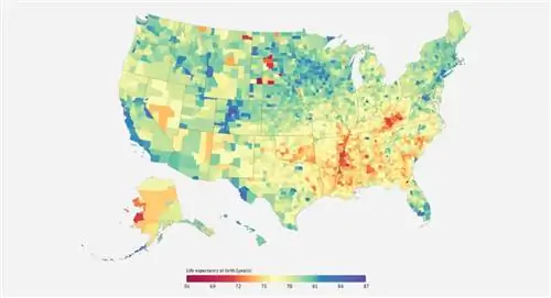 Неравенство в ожидаемой продолжительности жизни среди округов США