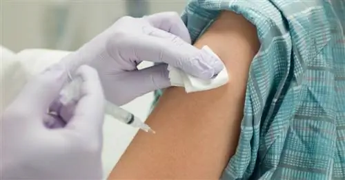 Вакцины безопасны, эффективны и по-прежнему необходимы