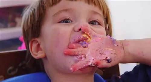 малыш ест именинный торт