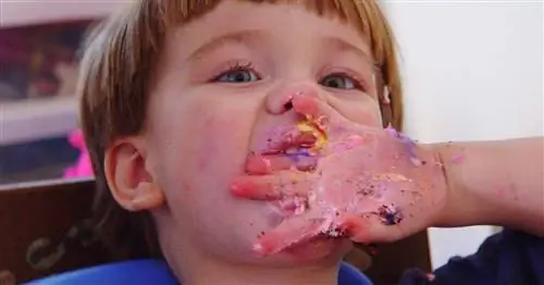 Правда о поведении вашего ребенка после того, как он съел сладкое