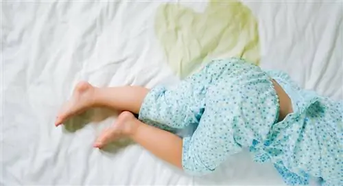 ночное недержание мочи