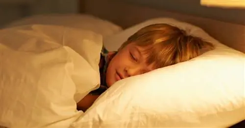 Как заставить ребенка спать ночью в школе