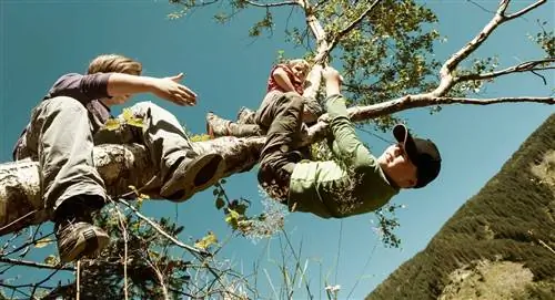 дети лазают по деревьям