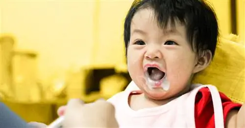 Почему новички кусают себя и как помочь