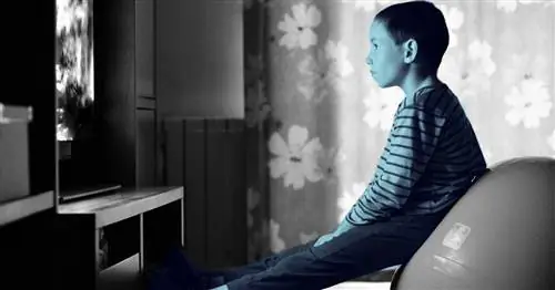 Как заставить одержимого ребенка перестать смотреть, делать или читать одно и то же