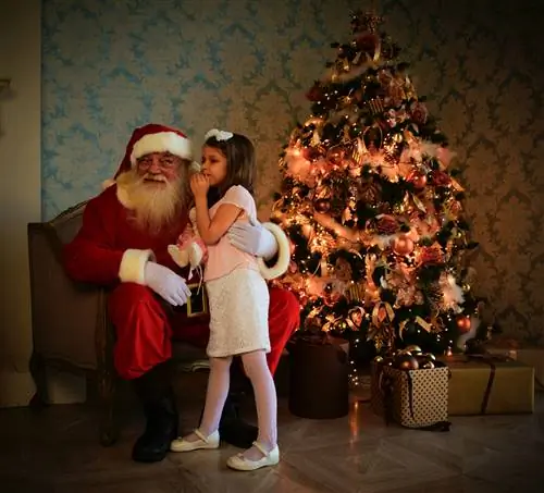Ребенок стоит рядом с Дедом Морозом на фоне рождественской елки.
