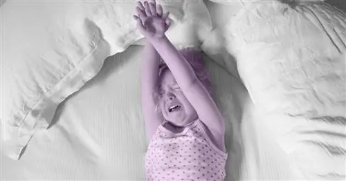 Как тренироваться во сне с помощью метода «Выплакаться»