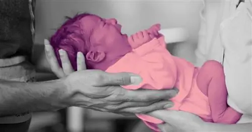 Как вести себя в первые 24 часа после принесения ребенка домой