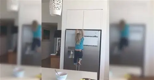 Трехлетний сын Тора - это, по сути, Человек-паук, который любит шоколад