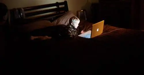 Уполномоченный по делам детей Англии предлагает запретить социальные сети в школах