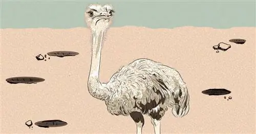 Как признать свою неправоту (даже если вы всегда правы)