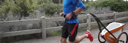 беговые коляски