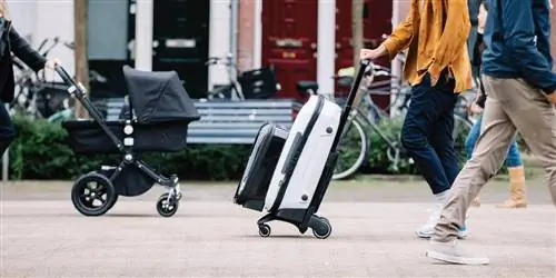 Багабу Боксер