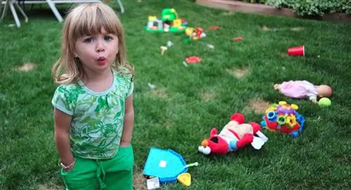 организаторы игрушек