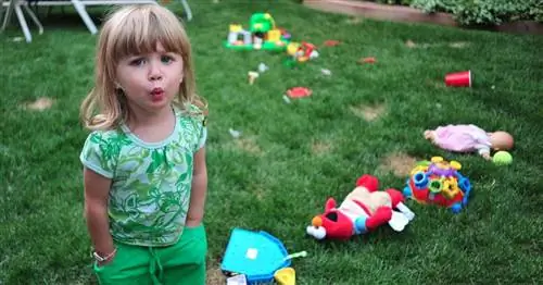 Полное руководство по организации игрушек и успешной организации игрушек