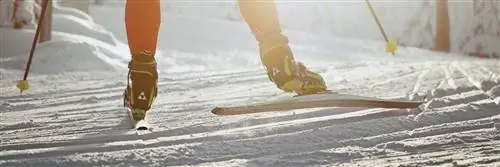 снаряжение для беговых лыж и снегоступы