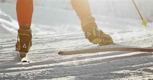 11 лучших снаряжений для беговых лыж & Снегоступы