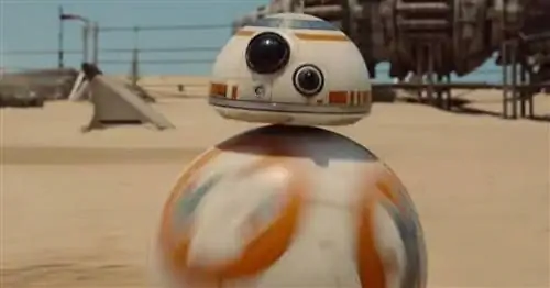 Сила сильна со Sphero, игрушечным стартапом, стоящим за BB-8 из «Звездных войн»