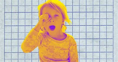 Потеря сна обходится американцам в 400 миллиардов долларов в год, а родителям – их здравомыслие