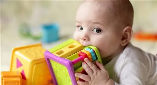 дорогие игрушки