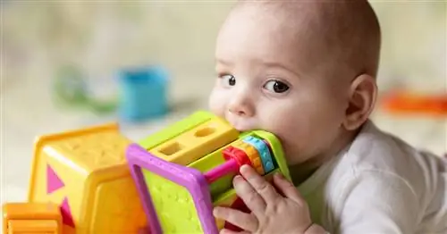 Дорогие игрушки моего ребенка классные, безопасные и многочисленные, но он не будет с ними играть