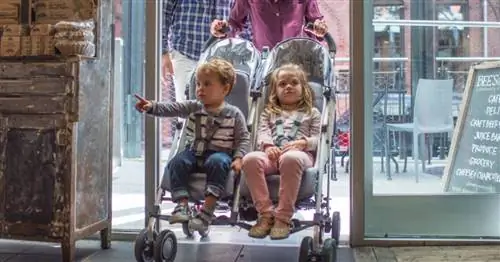 Видеообзор: коляска-зонтик UPPAbaby G-Link