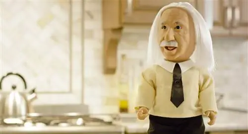 робот профессор эйнштейн