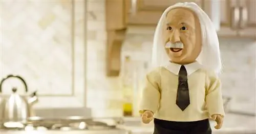 Этот слегка жуткий аниматроник Альберт Эйнштейн хочет научить ваших детей науке