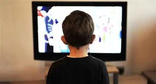 мифы о воспитании