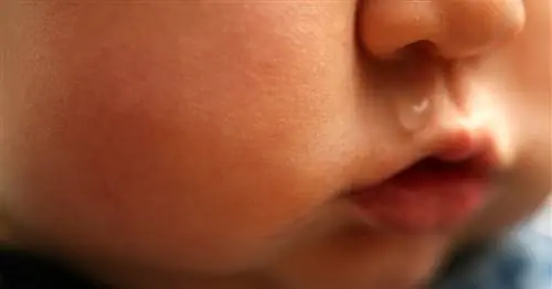 Как диагностировать и лечить проблемы со слизью у ребенка