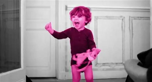 как заставить малыша замолчать и использовать внутренний голос