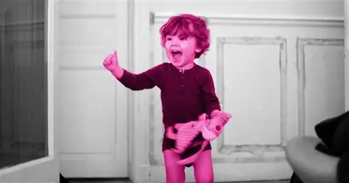 Как заставить малыша молчать и использовать внутренний голос