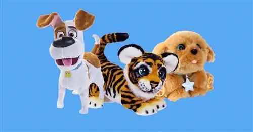 Лучшие электронные домашние животные, когда вы не хотите растить настоящего