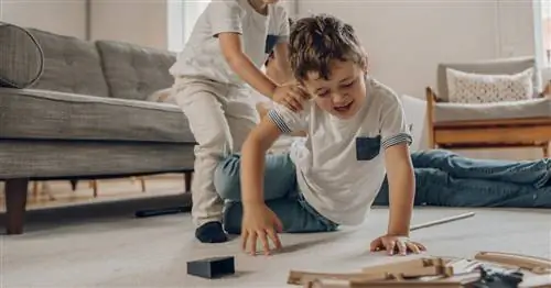 Как обращаться с агрессивным ребенком, по словам психолога