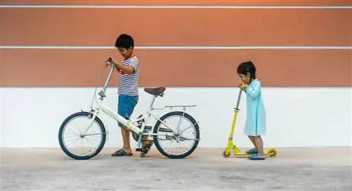 братья и сестры на колесах