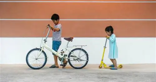 Почему первенцы - лидеры, а дети - творческие