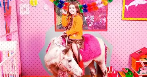 Развлечение для детского дня рождения, которое не отстой