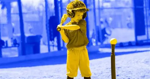 Все, что вам нужно знать о правилах тибола