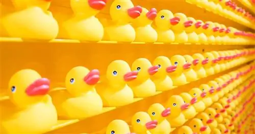 Подарочные карты для детей предлагают запутанное введение в кредит